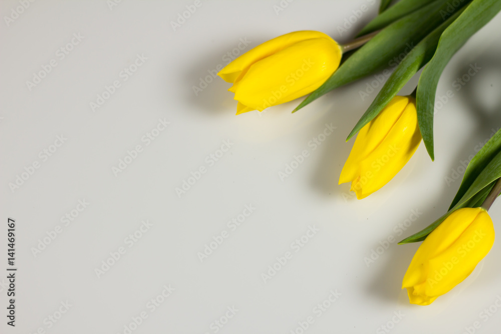 Easter theme. Eggs with tulips on wooden board, easter holiday concept. Copyspace for text. Easter theme. Eggs with tulips on wooden board, easter holiday concept. Copyspace for text.