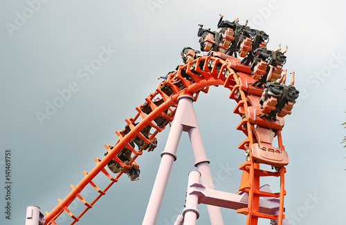 Rollercoaster Ride photo