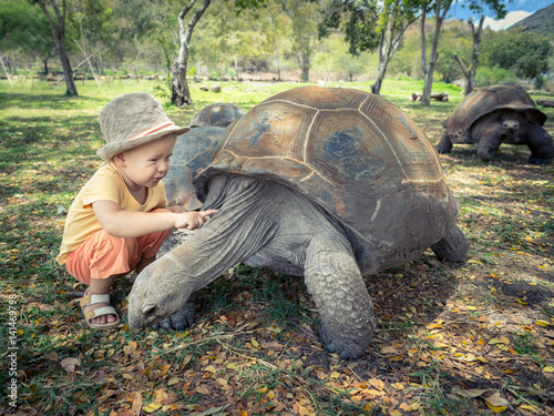 Aldabra giant tortoise and child