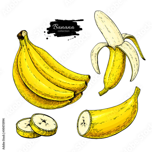 Banana set vector drawing. Isolated hand drawn bunch, peel banana and sliced pieces.