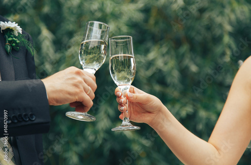 .Newlyweds with glasses of champagne in nature in summer