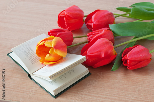 Beautiful red tulips bunch with ipen book. Teacher's day concept photo