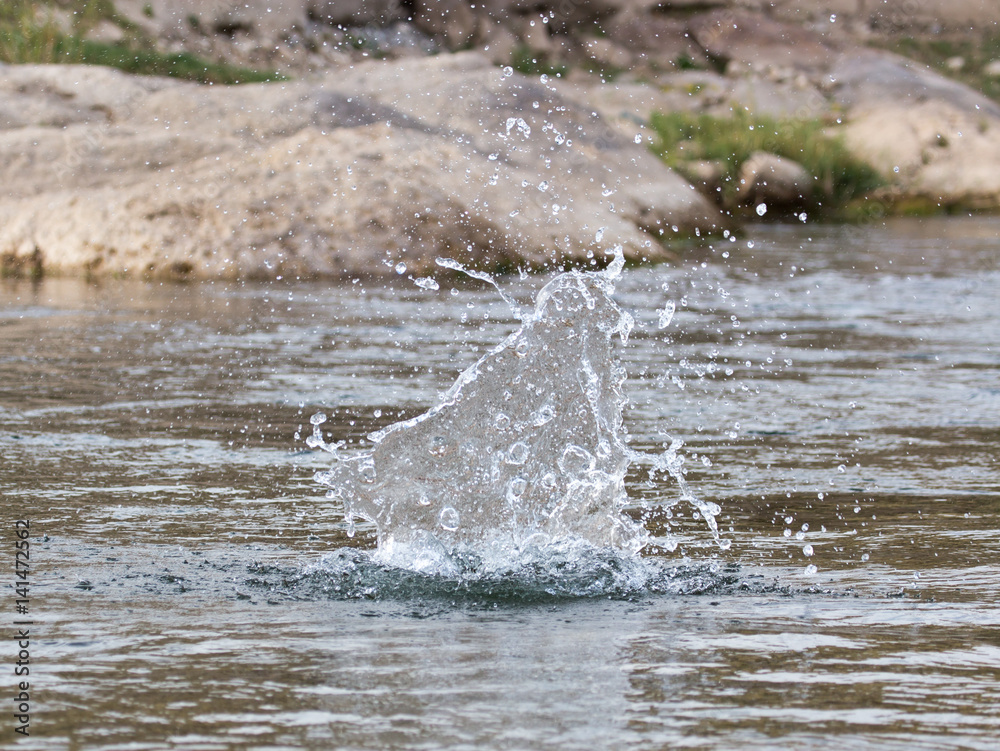 Fototapeta premium water splashing from a stone in the river