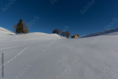 Hut with blue sky in snowy undulating winter landscape