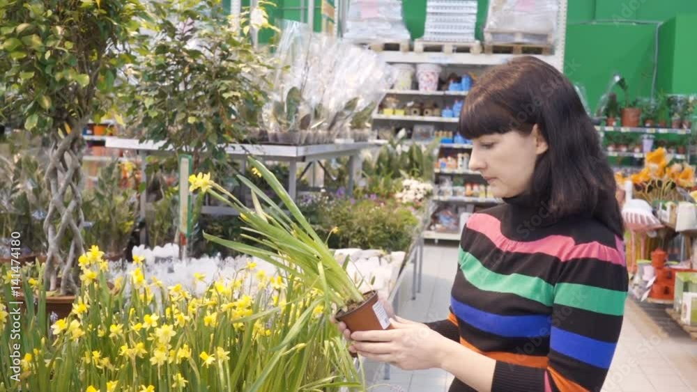 Young women choosing and shopping flowers. Woman in a supermarket. The girl in the shop. Buyer. Choose plants. Buy houseplants. Flower shop Young women choosing and shopping flowers. Woman in a supermarket. The girl in the shop. Buyer. Choose plants. Buy houseplants. Flower shop