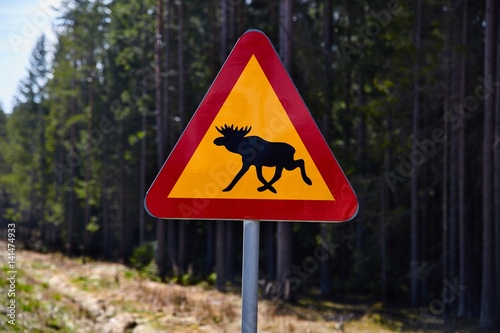 Moose roadsign in Sweden photo