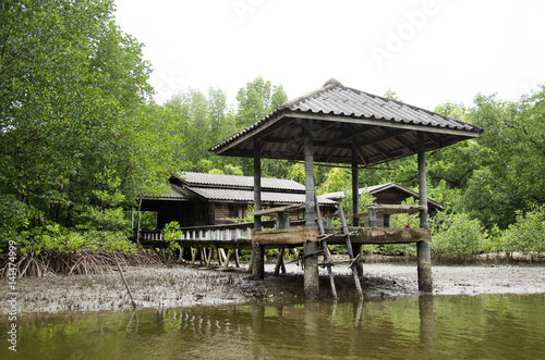 Abandoned house and old outdoor pavilion at riverside of riverbank and mangroves forest or Intertidal forest