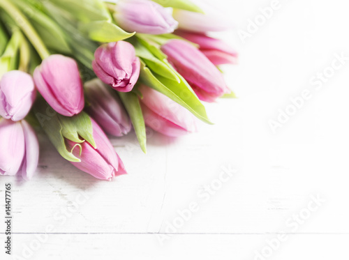 Beautiful pink tulips on white-plank background 