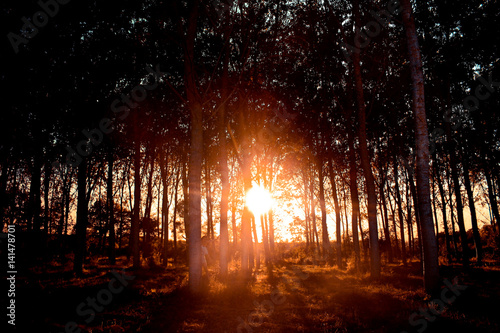 coucher de soleil