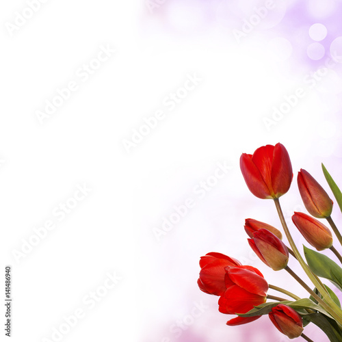 Bouquet tulips.flowers card