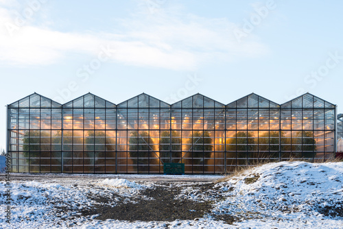 greenhouse iceland - March 2017