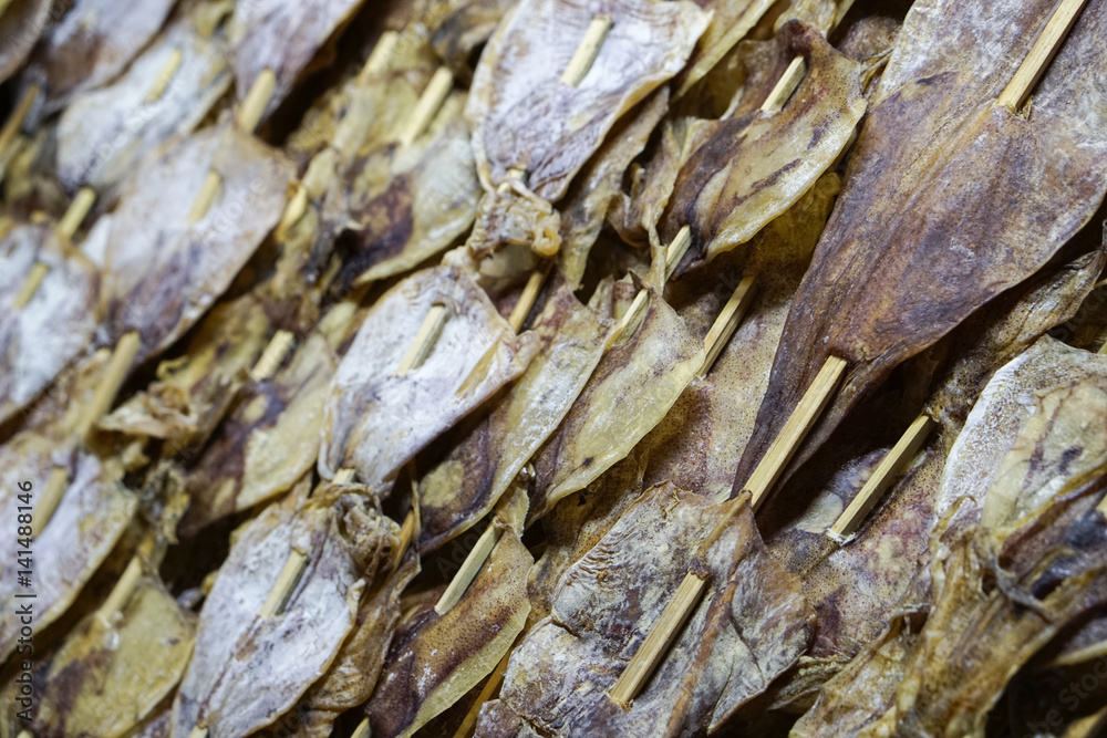 dry squid in row.Traditional squids drying in Grilled squid in Thailand market dry squid in row.Traditional squids drying in Grilled squid in Thailand market