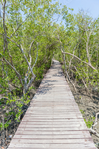 Natural trail of wooden bridge walkway into the sea along with mangrove forest. © mrcmos