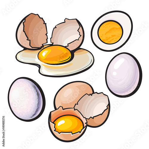 Whole and cracked, broken shell chicken egg composition, sketch style vector illustration isolated on white background. Hand drawn raw, boiled and fried, whole and cracked chicken eggs