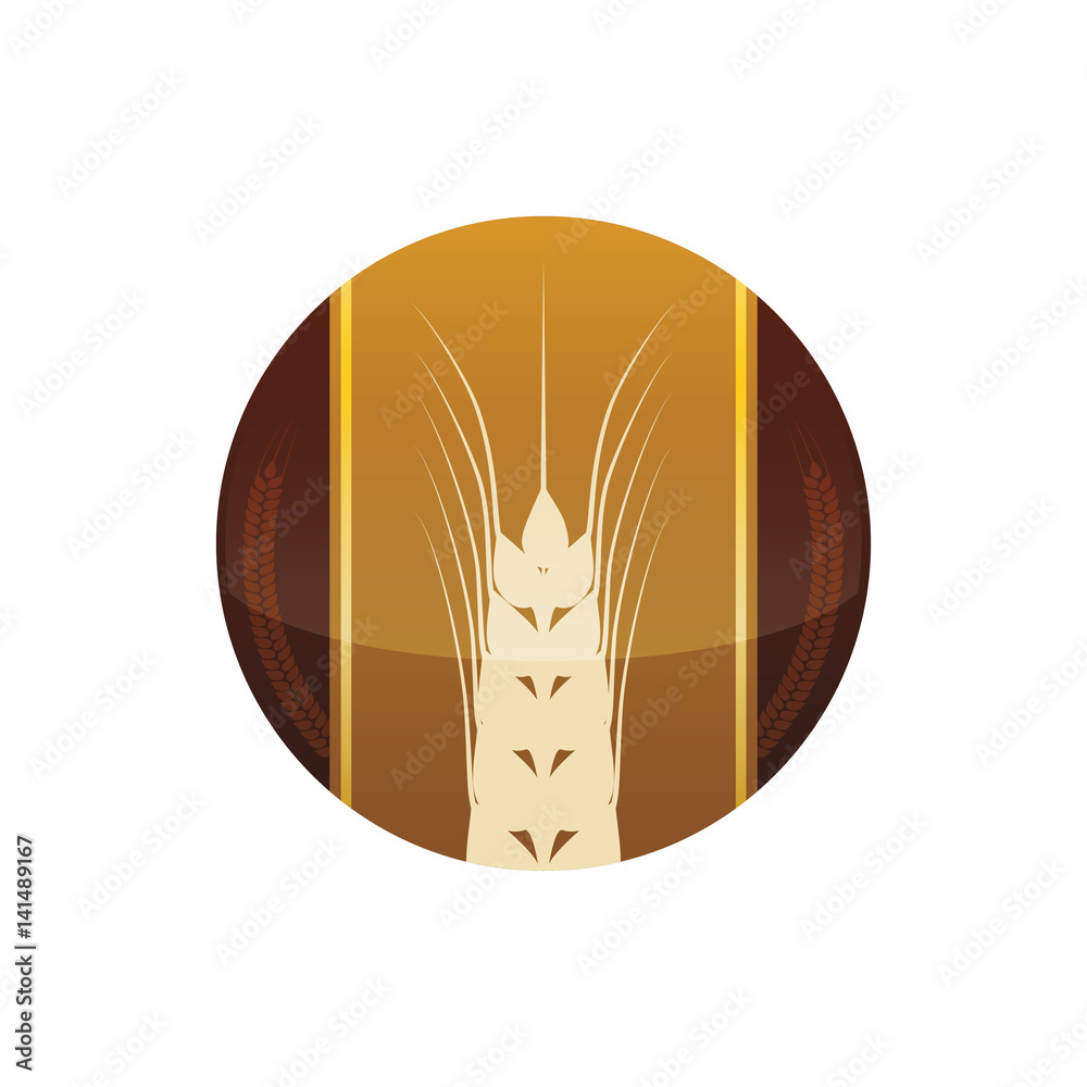 Beer and brewery icon vector illustration graphic design