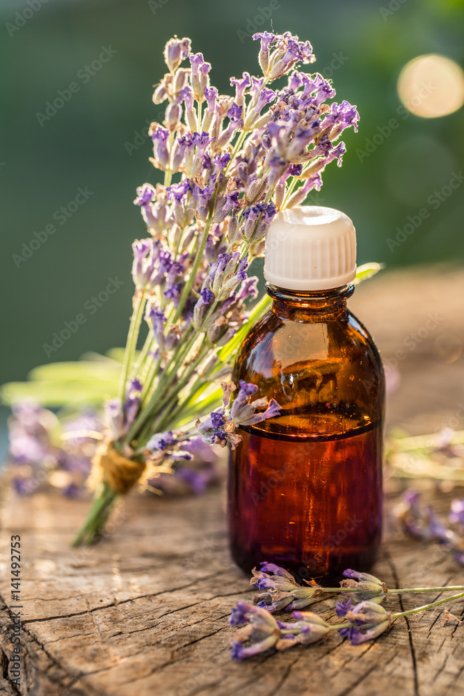 Bunch of lavandula or lavender flowers and oil bottle are on the old wooden table. Bunch of lavandula or lavender flowers and oil bottle are on the old wooden table.