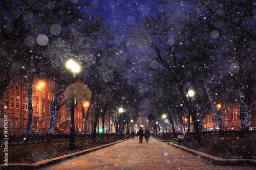 Photography winter night in the park