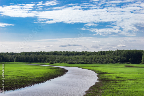 Beautiful landscape with river, green field, forest and blue sky
