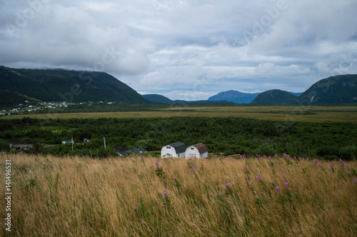 Houses and Meadows Close to Lark Harbor in Newfoundland, Canada