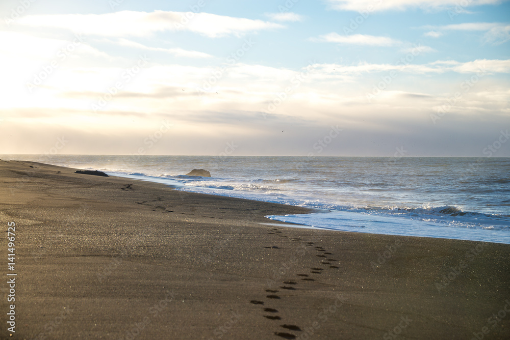 Landscape of beautiful Icelandic beach - March 2017