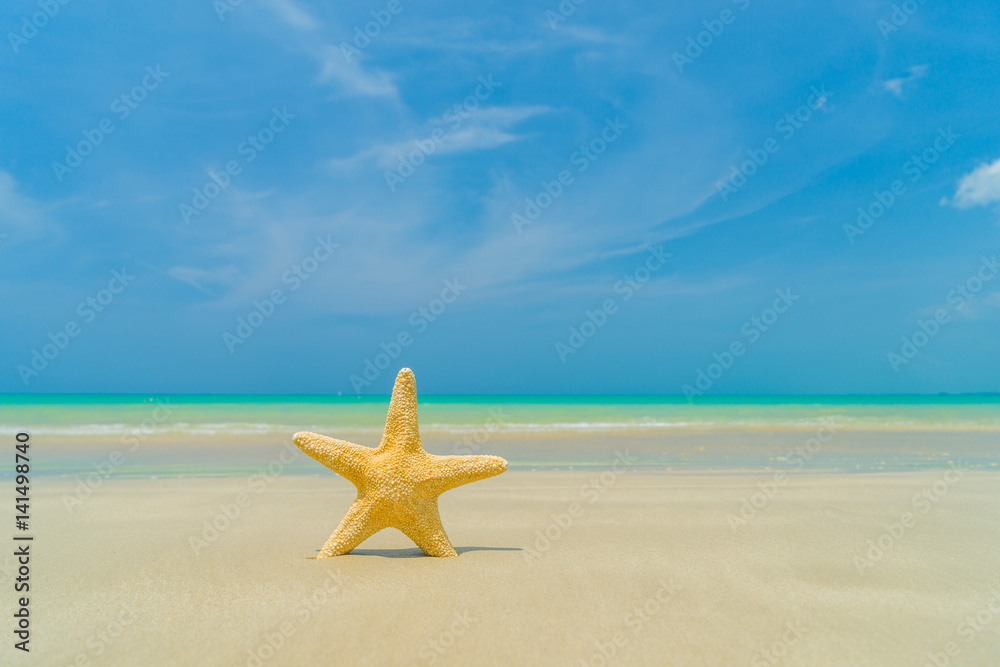 Starfish on the beach on a sunny day Starfish on the beach on a sunny day