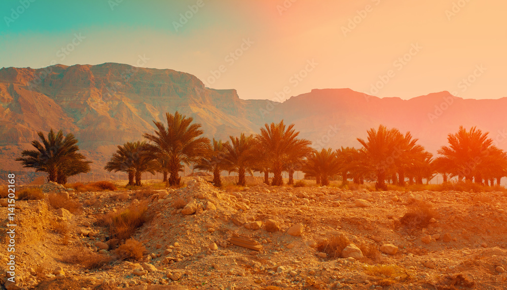 Judean desert in Israel at sunset.