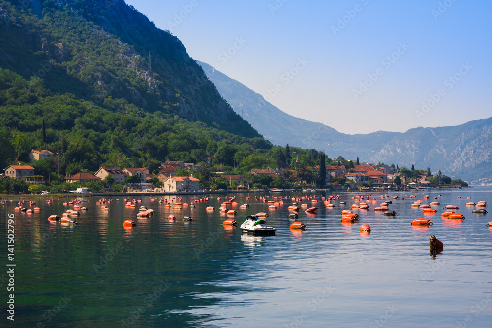 Oyster farms in the Kotor Bay, Montenegro, Kotor-Risan
