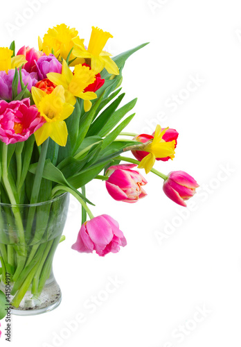 Wallpaper Mural fresh pink, purple and red tulips and yellow daffodils in vase close up isolated on white background Torontodigital.ca