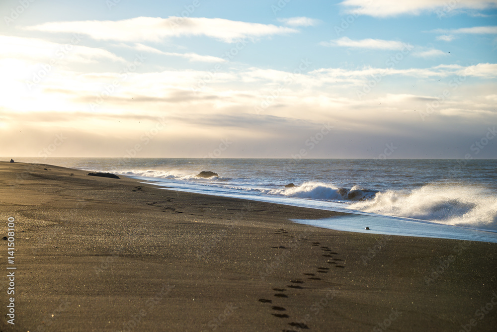 Landscape of beautiful Icelandic beach - March 2017