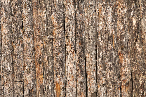 Wooden fence of raw pine bark closeup as natural background
