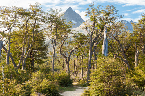 trekking for laguna Esmeralda Patagonia Argentina Ushuaia photo