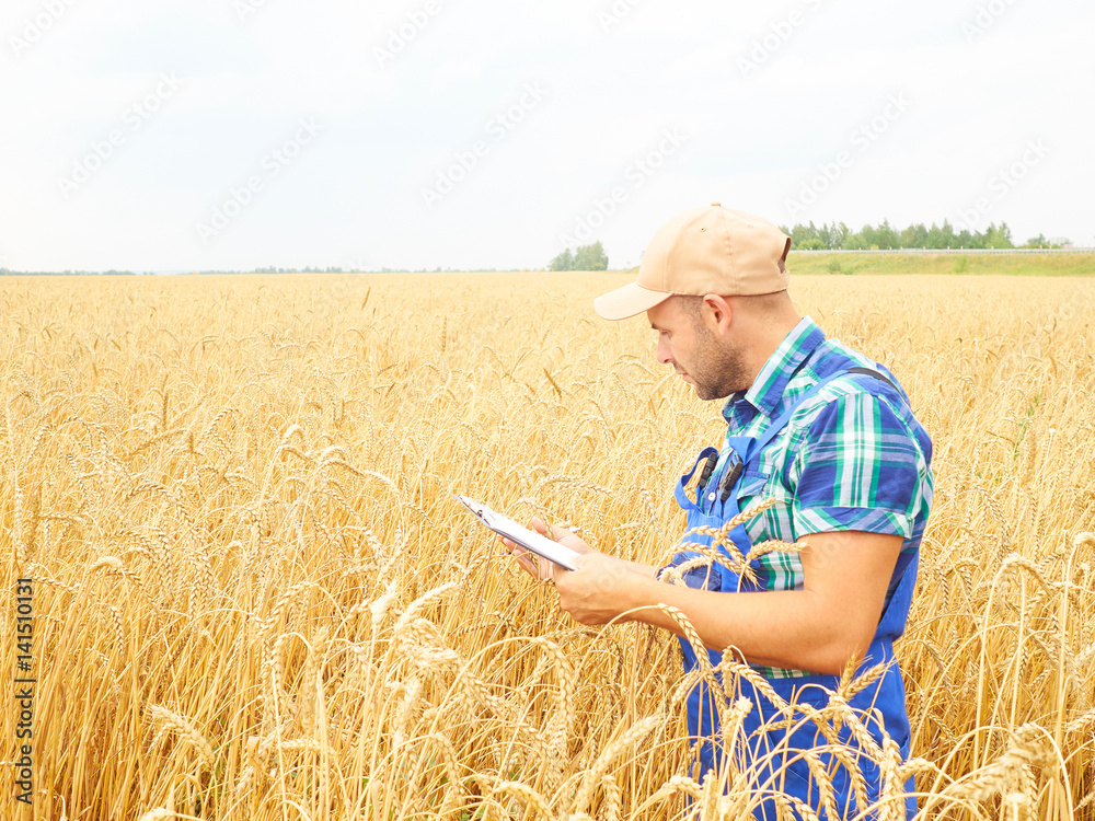 Farmer in a plaid shirt controlled his field and writing notes. Wheat harvest. Farmer in a plaid shirt controlled his field and writing notes. Wheat harvest.
