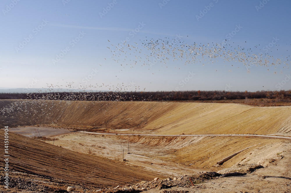 Garbage on the city landfill. Soil polution. Environmental protection. Extraction of biogas. Quarry for extraction of gas from the waste. Garbage on the city landfill. Soil polution. Environmental protection. Extraction of biogas. Quarry for extraction of gas from the waste.