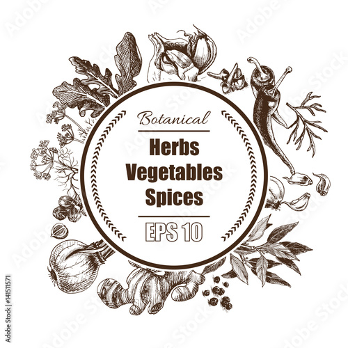 Vector background - spices, herbs, vegetables.