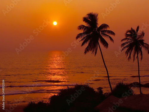 Silhouette of two palm trees at sunset on the backdrop of the Indian ocean  Bentota  Sri Lanka.