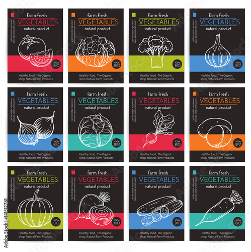 Vector hand drawn vegetables posters