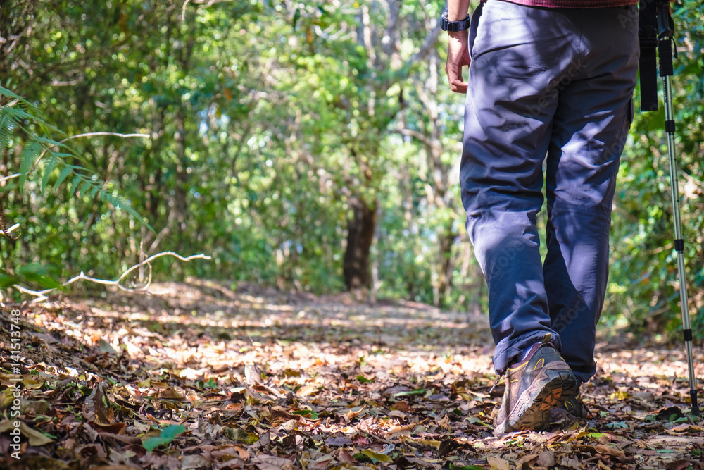 happy young man hiking in autumn forest happy young man hiking in autumn forest
