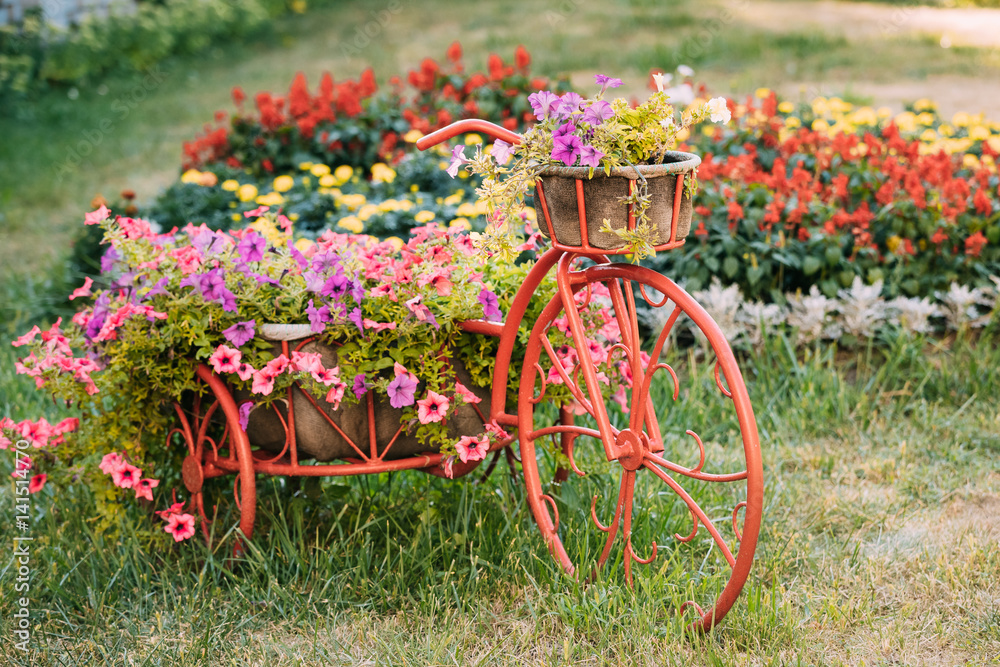 Decorative Vintage Model Old Bicycle Equipped Basket Flowers Garden. Toned Photo.