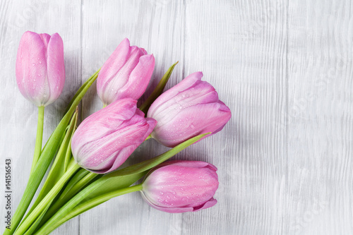 Fresh pink tulip flowers