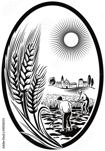 Oval with ears of wheat and landscape with cultivated fields.