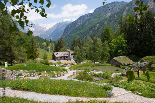 Quadro su tela Botanical Garden,valnontey,cogne,val of aosta,italy