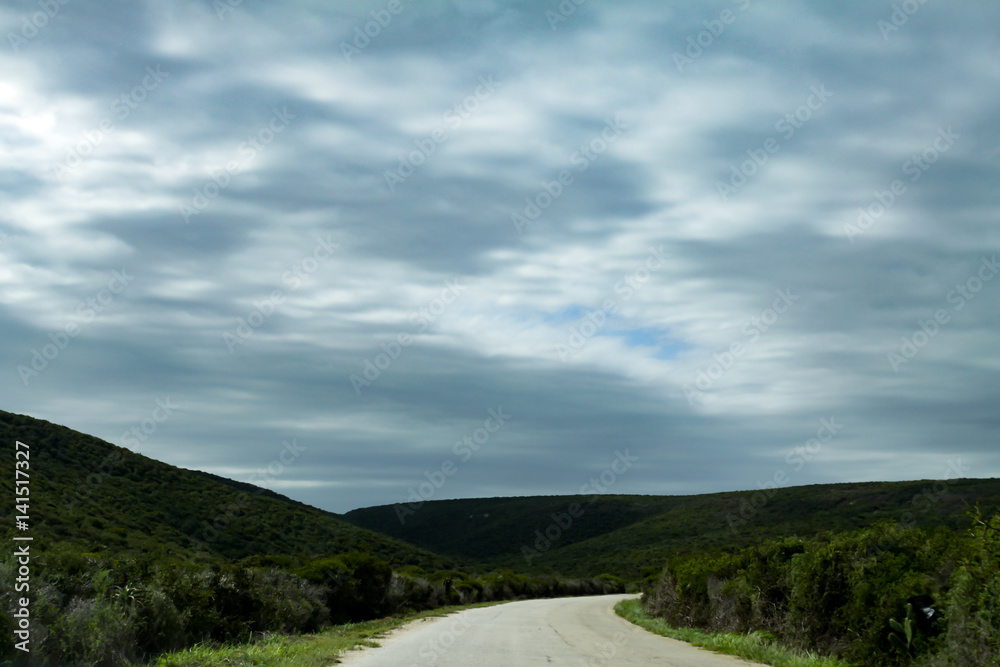 Cloudy day on the Addo Elephant  Park road