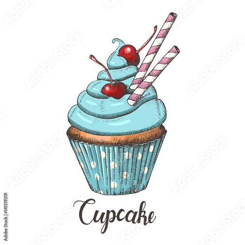 Vector hand drawn cupcake with cherries, blue cream and wafer stick. Sketch, lettering. Desert, sweet bakery. Vector