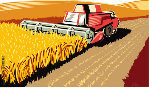ripe wheat field with harvester