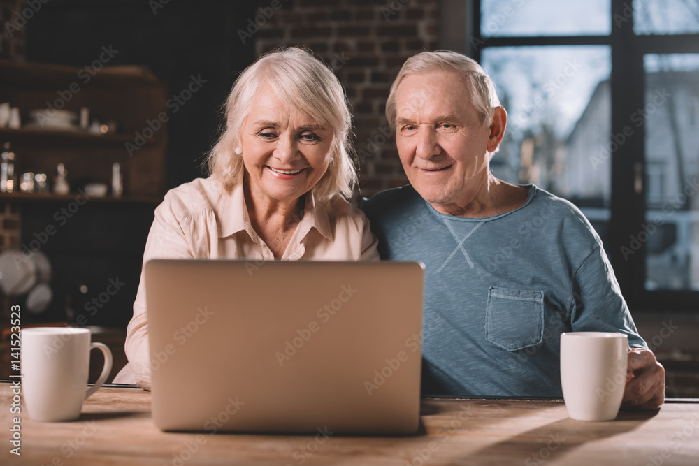 senior couple using laptop at home