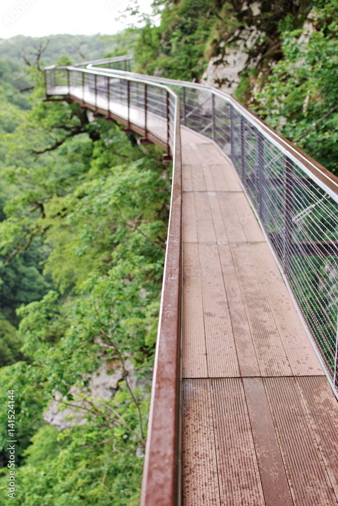 A small pedestrian bridge over the precipice A small pedestrian bridge over the precipice