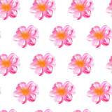 Pattern with pink flowers