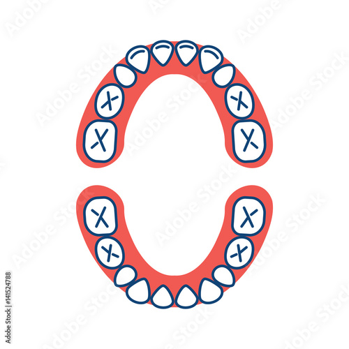 Baby Tooth Chart Baby mouth. Child's jaw, Primary teeth, deciduous teeth, or milk teeth. Сhildren's dentistry outline icons