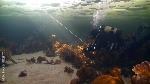 Unique shooting of diver underwter on seabed in ice of White Sea. Creative diving and dangerous extreme sport. Unique shooting. photo