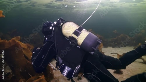 Unique shooting of diver underwter on seabed in ice of White Sea. Creative diving and dangerous extreme sport. Unique shooting. photo